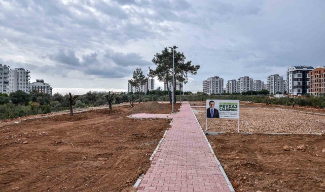 Kepez Çankaya'ya zeytin temalı park