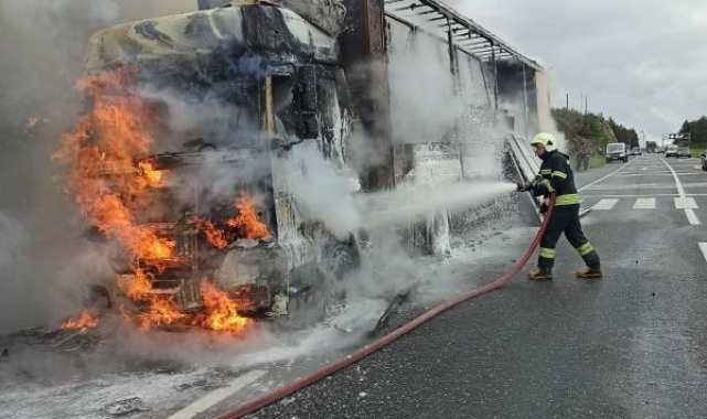 Muğla'da güneş panelleri taşıyan TIR yandı
