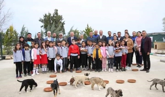 Serik'te sokak hayvanları unutulmadı