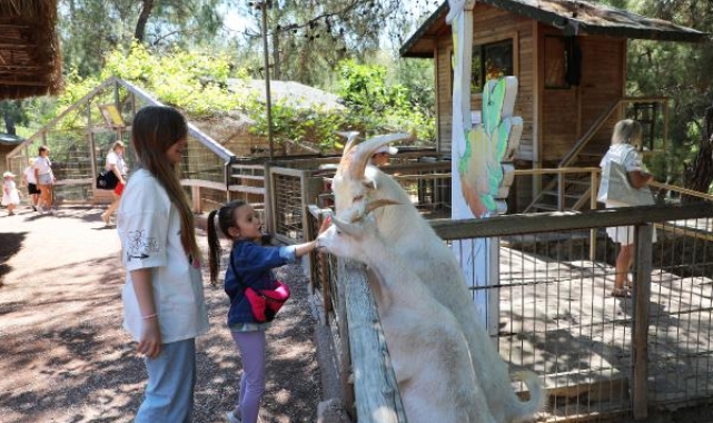 Antalya Doğal Yaşam Parkı yeni yavrularla şenlendi