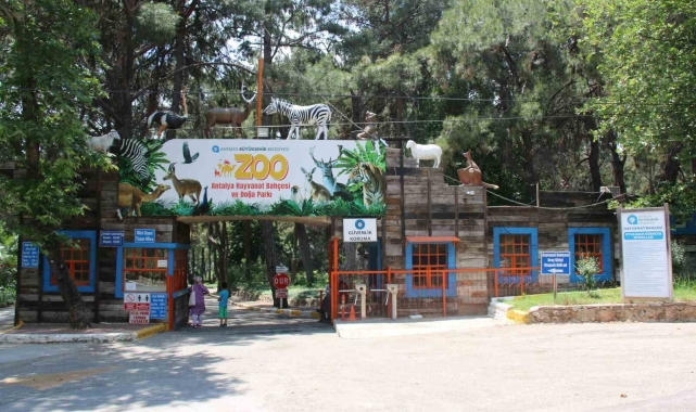 Antalya, 'Hayvanat Bahçeleri' toplantısına ev sahipliği yapacak
