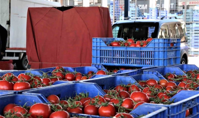 Enflasyonun kırmızı hali; Domateste fiyat ne durumda ?