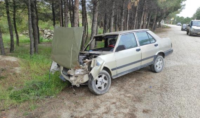 Otomobiliyle ağaca daldı 