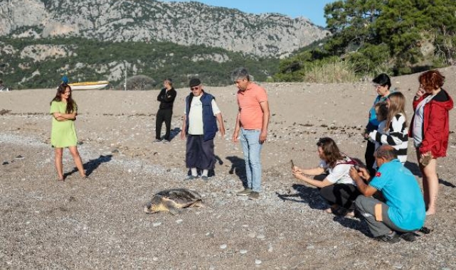 Deniz kaplumbağasının gündüz yuva çalışması için önlem aldılar
