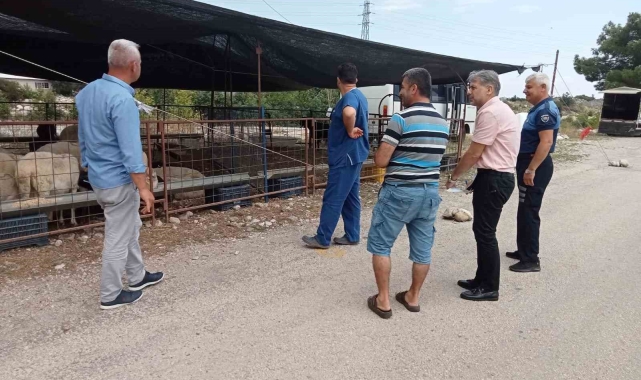 Kurban satış yerlerinde denetim