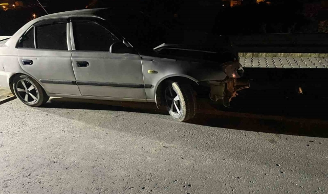 Önüne köpek çıkan sürücü köprünün bariyerlerine çarptı:1 yaralı