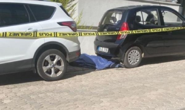 Onur, yol kenarında ölü bulundu; sevgilisi gözaltında