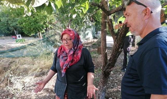 Yılandan korkup ormanı yakıyordu