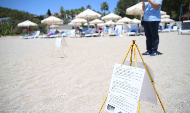 Alanya plajlarında caretta caretta yumurtaları otellerin koruması altında