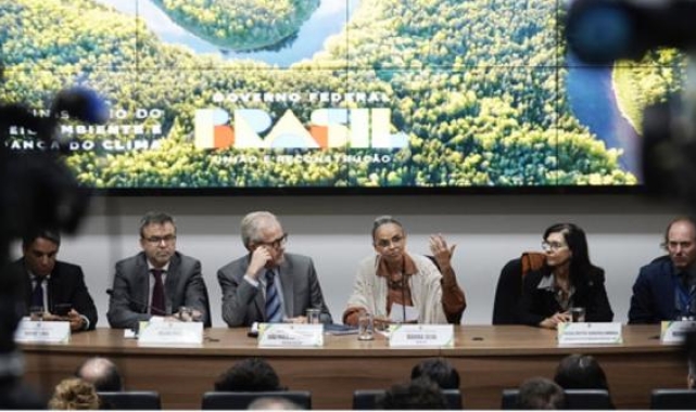 Amazon ormanlarında ağaçların kesimi 2023'te düştü