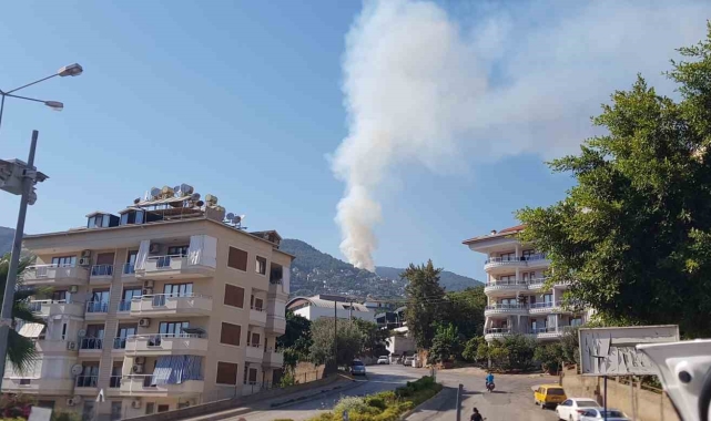 Antalya'da orman yangını;1.5 hektar alan zarar gördü !