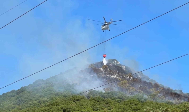 Antalya'nın Demre ilçesindeki orman yangınına havadan ve karadan müdahale ediliyor