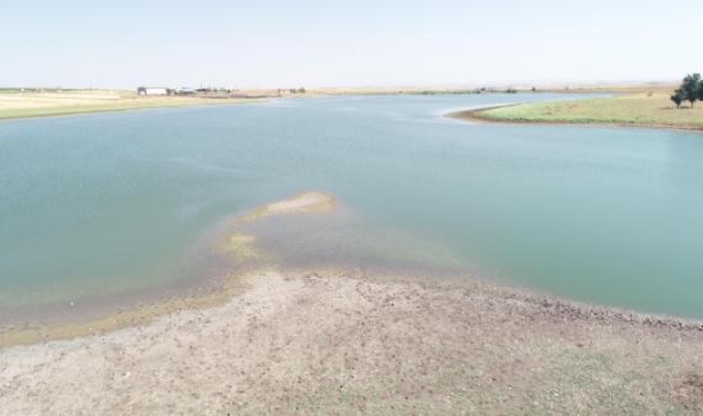 Binlerce kuşun yaşam alanı gölette su 10 metre çekildi; uzmandan uyarı geldi
