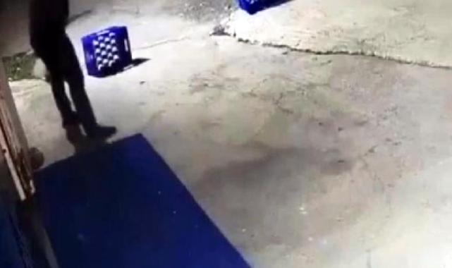 Eğlence merkezi bahçesinde bağlı köpeği 14 kurşunla öldürdü