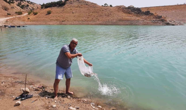Korkuteli göletlerine 83 bin adet sazan yavrusu bırakıldı