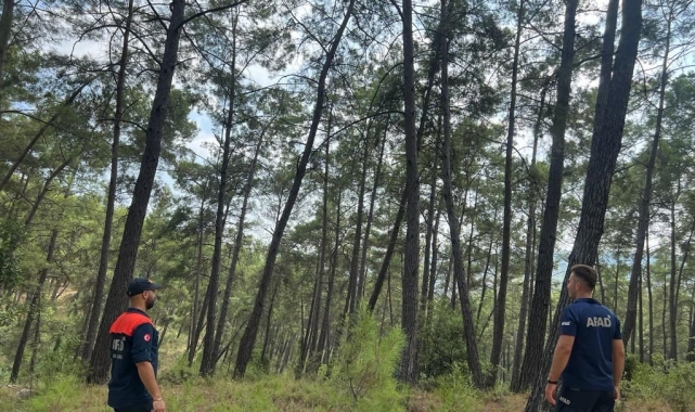 Antalya'da 3 gündür haber alınamayan Alman kadın turist için ekipler seferber oldu
