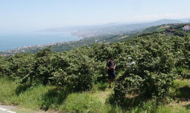 'Boş' oranı 20 yılın en yüksek seviyesinde