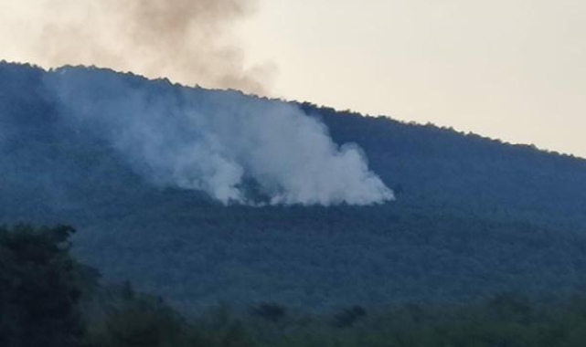 İzmir'de düşen yıldırım, ormanı yaktı