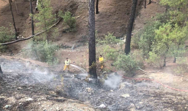Kumluca'da orman yangını büyümeden söndürüldü