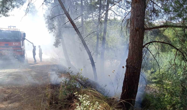 Manavgat'ta 30 dakika arayla iki ayrı noktada çıkan orman yangınları söndürüldü