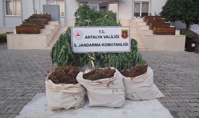 Serik'te jandarmadan uyuşturucu operasyonu: 3 gözaltı