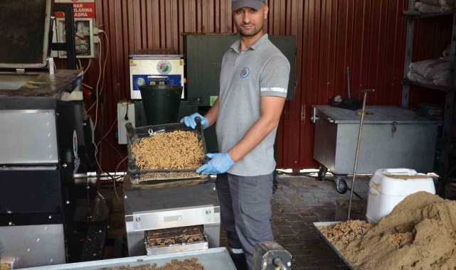 Sokak hayvanlarının mamalarını Kepez Belediyesi üretiyor
