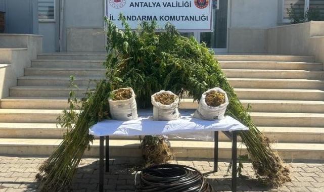 Yurt dışından getirilen uyuşturucuya jandarma operasyonu