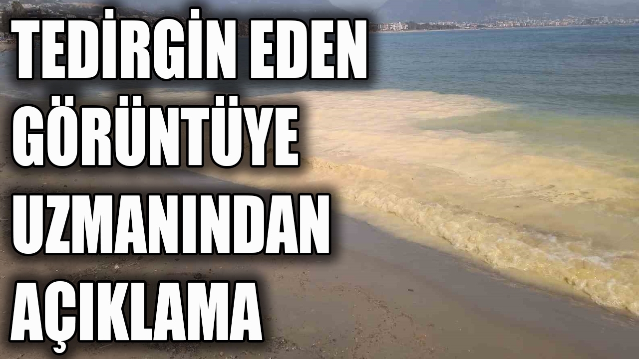 Antalya'da deniz kıyılarında tedirgin eden görüntüye uzmanından açıklama
