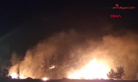 ALANYA'da 3 hektarlık alanda çıkan yangın kontrol altına alındı