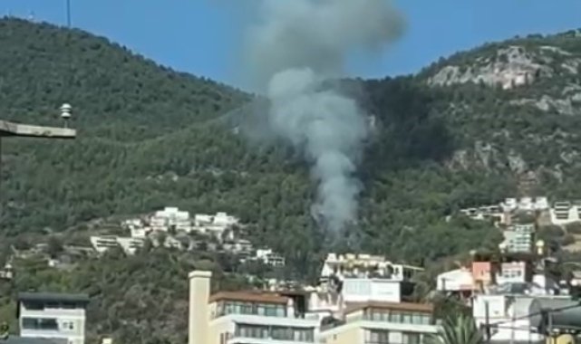 Alanya'da orman yangını