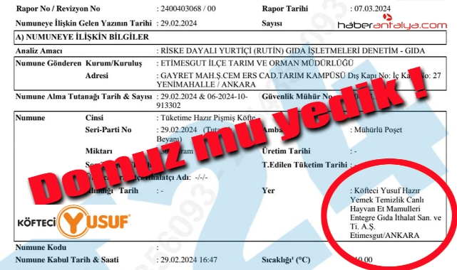 Bize domuz mu yedirmişler !!!