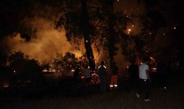 Manavgat'ta korkutan orman yangını büyümeden söndürüldü