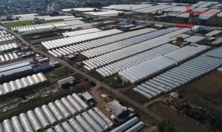 'Tarımda planlı üretim yapılmalı'