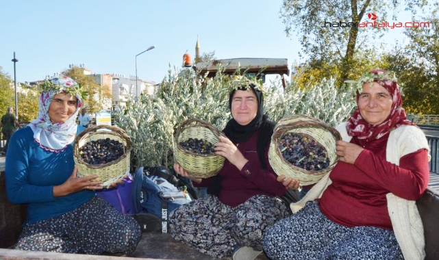 "Manavgat Zeytin ve Zeytinyağı Festivali"nin ilk gününden barış mesajı çıktı