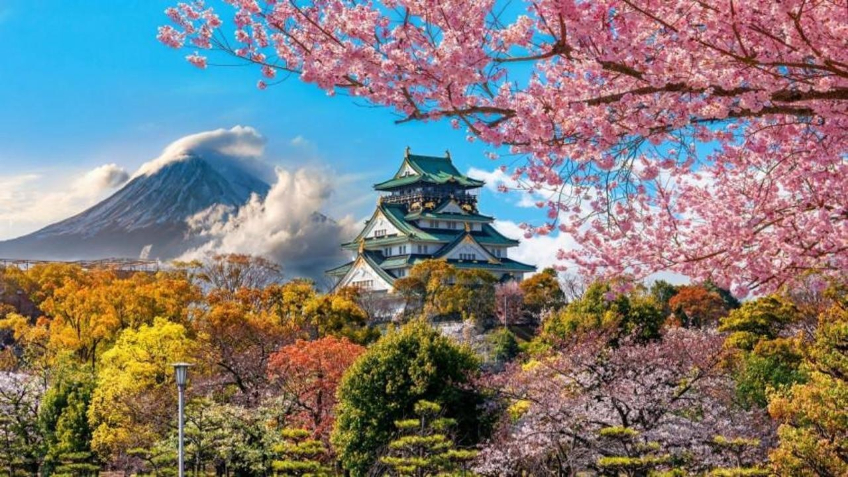 Fotoğraflarla Japon bahçeleri