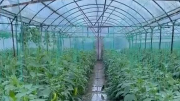 Antalya’nın ilçelerinde sağanak etkili oldu,