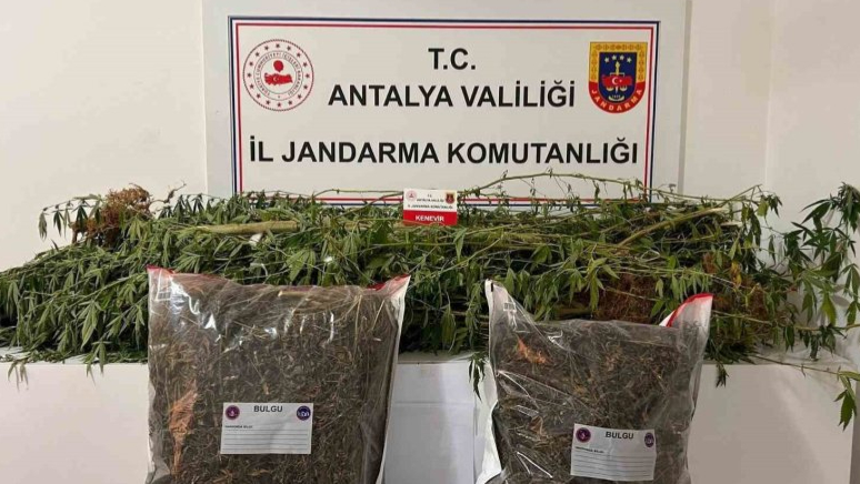 Alanya’da narkotik operasyonları