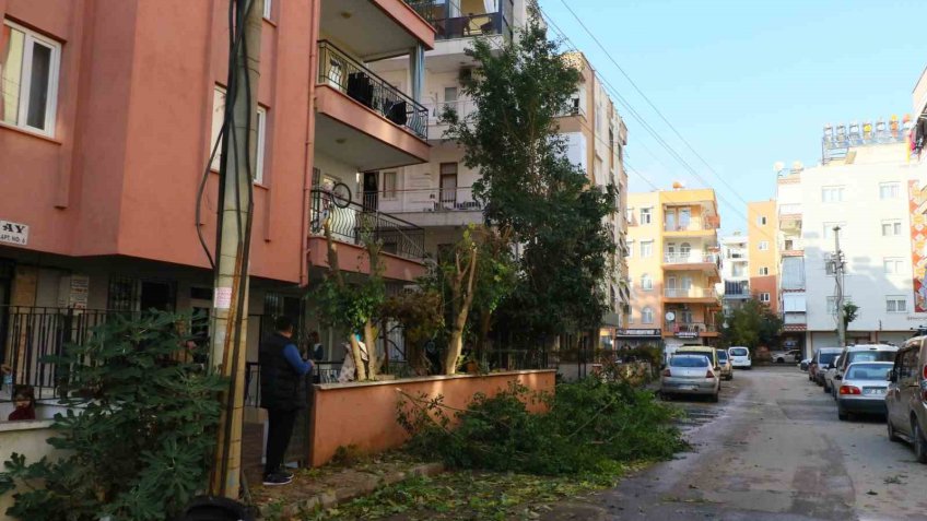Ağaç budarken bütün mahallenin elektriğini kesti, elektronik cihazlarını yaktı