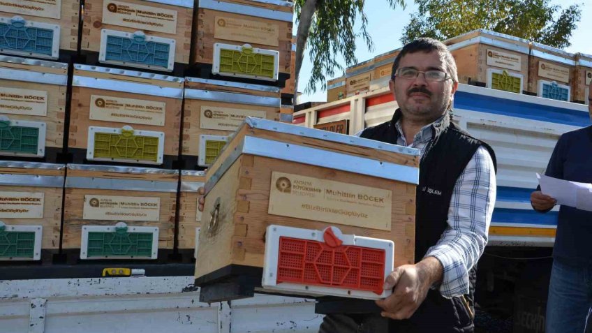 Alanyalı bal üreticilerine arı kovanı hibe edildi