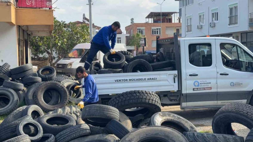 Sineklerin üreme alanı lastikler toplanıyor