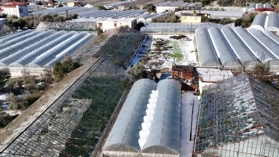 Şiddetli dolu ve yağmur, 200 dönüm seraya zarar verdi