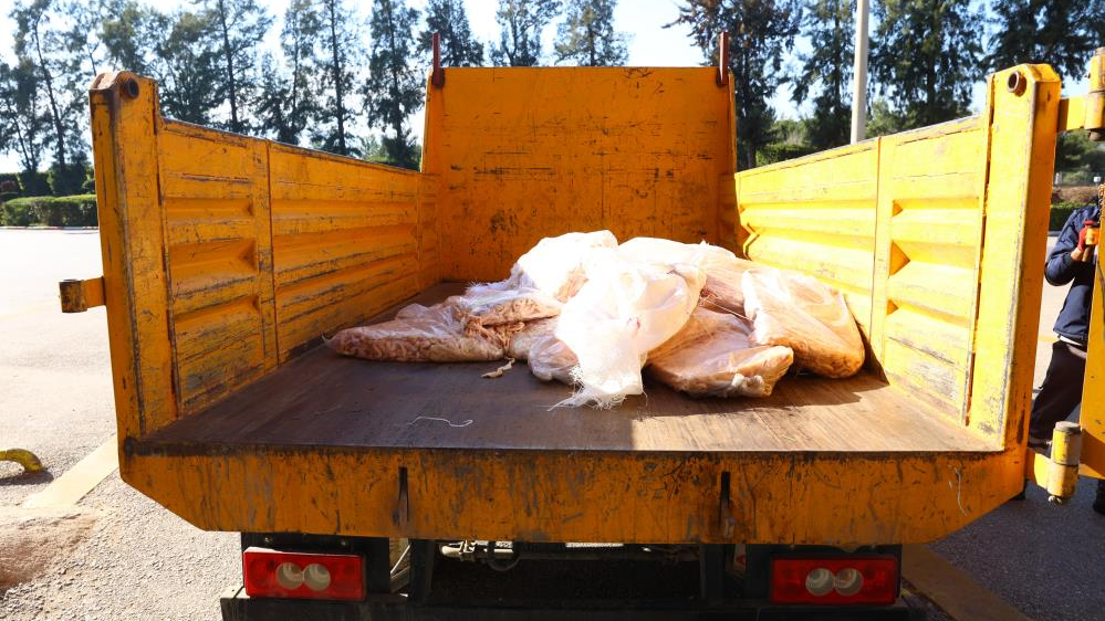 Şanlıurfa’dan Antalya’ya otobüsle gönderilen 300 kilogram sakatata el konuldu
