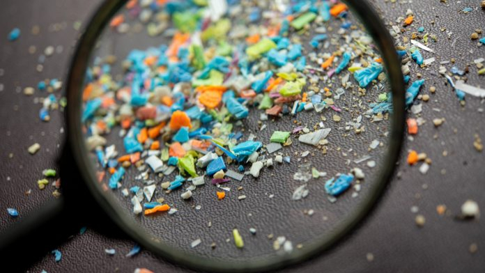 İnsan beynindeki mikroplastik oranı hızla artıyor