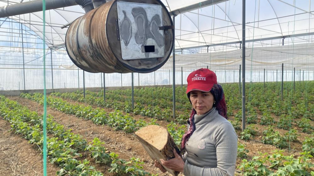 Kadın üreticilerin meşakkatli zirai don nöbeti