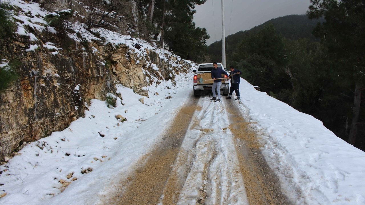 Antalya'da buzlanan yollarda tuzlama çalışması