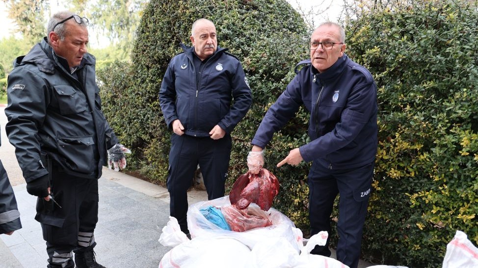 Antalya obüs terminalinde çuvallarda taşınan 1,5 ton ciğer imha edildi