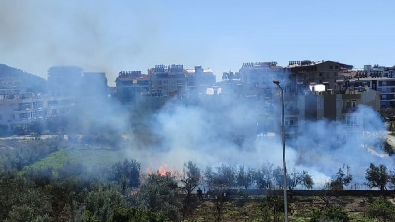 Antalya’da sazlık alandaki yangın kontrol altına alındı