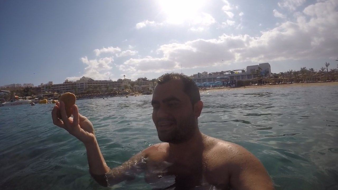 Deniz altında balıklara pasta ikramı