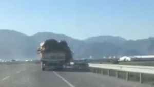 Antalya'da tahta ve tomruklar yola saçıldı; şoför aldırmadan devam etti