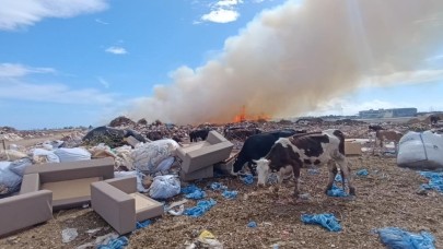 Yangın bahane otlamak şahane
